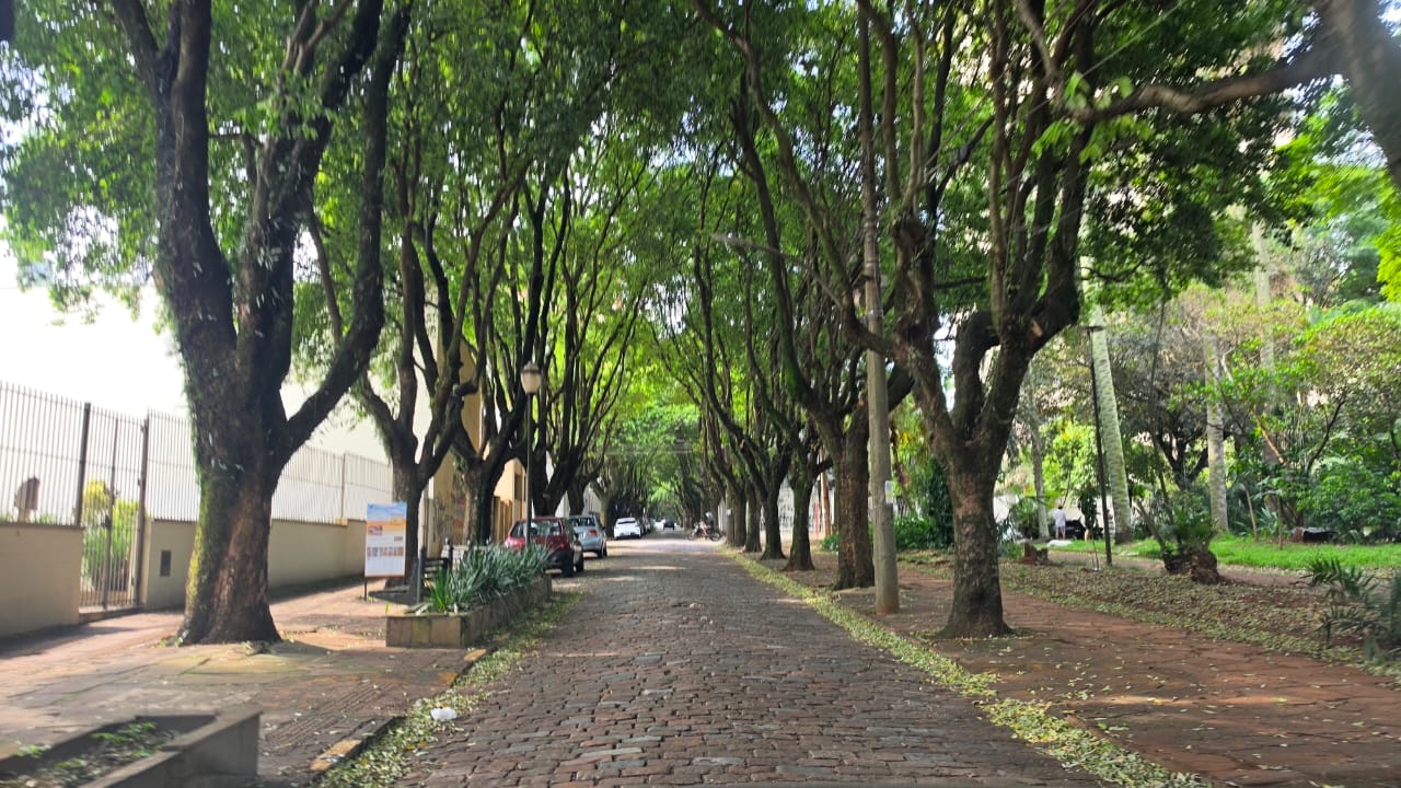 Dia ensolarado e seco em Araraquara, com máxima de 30°C, sem previsão de chuva e céu com poucas nuvens nesta segunda-feira
