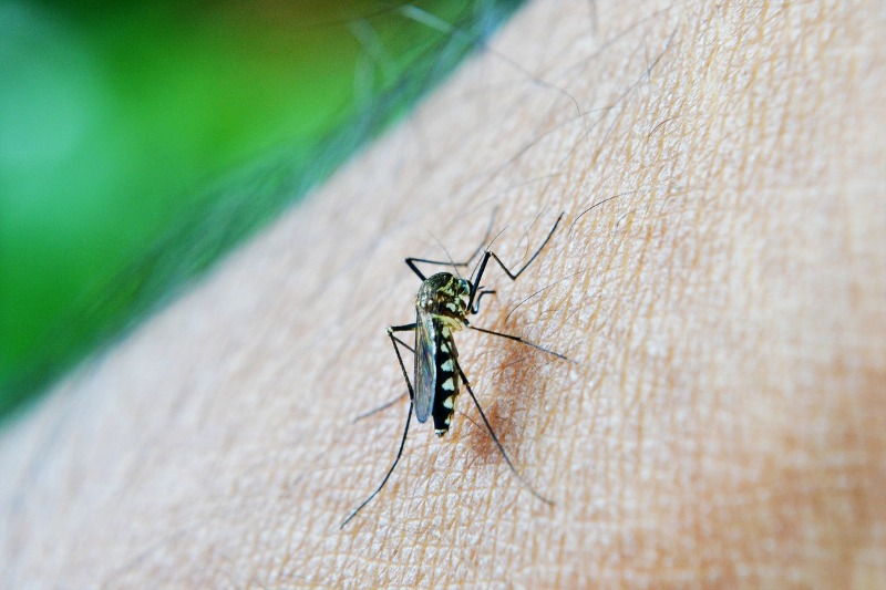 Dengue: Se aproximando dos 14 mil casos, sete bairros de Araraquara recebem ações de combate nesta terça (21)