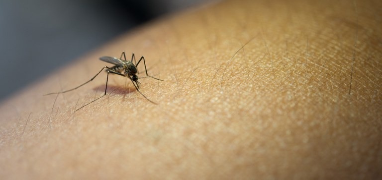 Veja os bairros que recebem agentes da Dengue amanhã em Araraquara