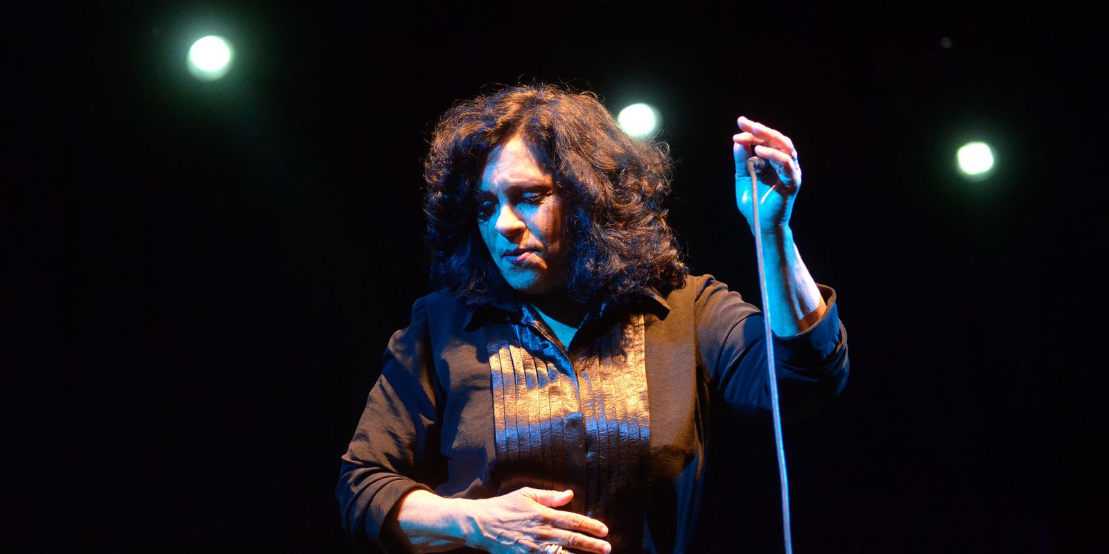 Morte de Gal Costa repercute entre artistas e políticos