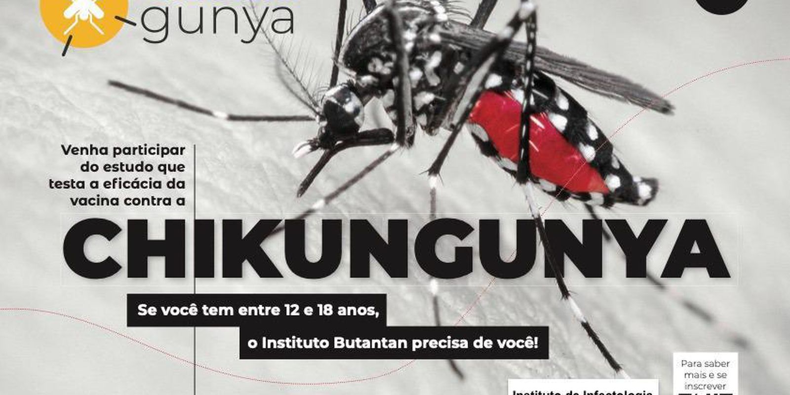 Instituto recruta voluntários para teste de vacina contra chikungunya