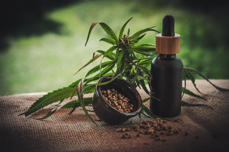 Governo de SP sanciona Lei que prevê fornecimento de medicamento à base de cannabis no SUS
