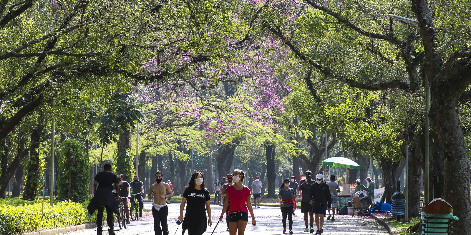 Cartilha ensina como liberar emoções de bem-estar e felicidade