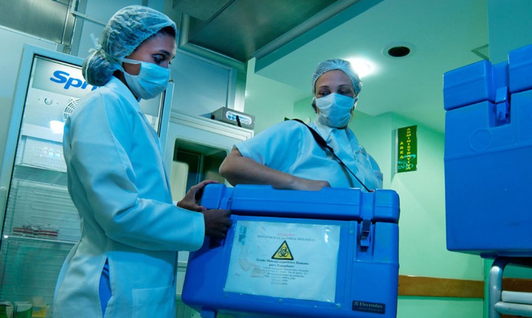 Dia Nacional de Doação de Órgãos: mais de 60 mil pessoas esperam por transplante no Brasil