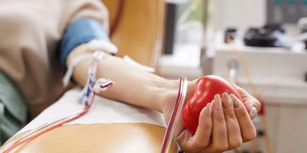 Posso doar sangue se tive dengue? Tatuagem impede doação? Tire dúvidas sobre o tema