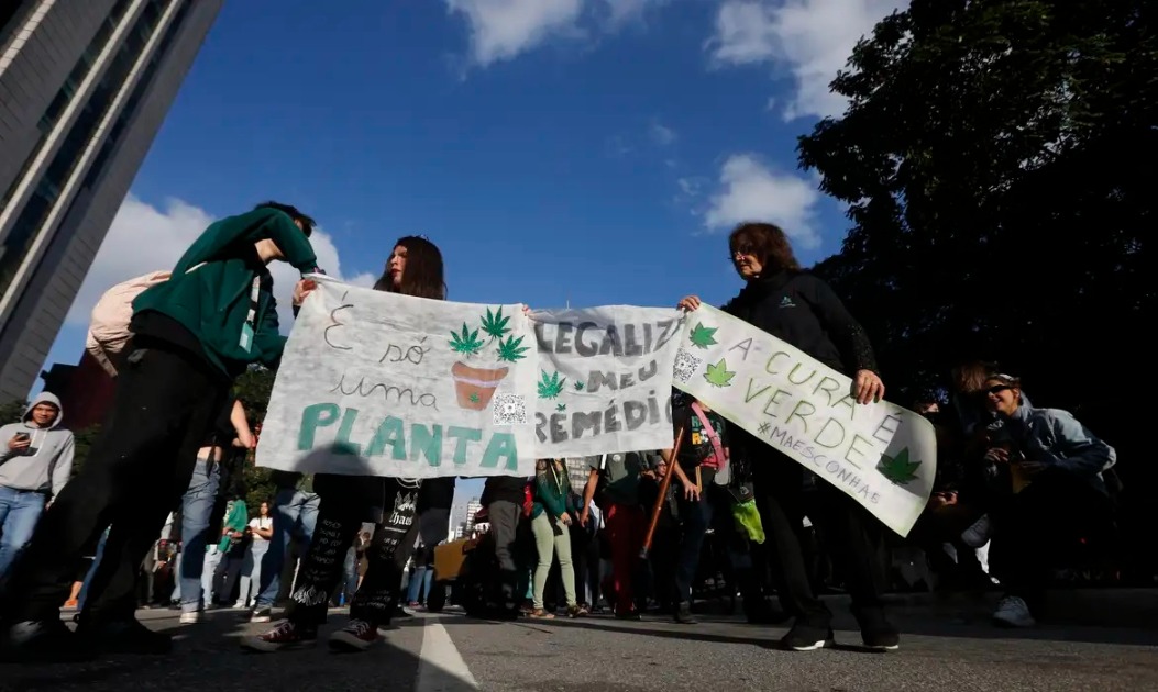 Entenda a decisão do STF sobre descriminalização do porte de maconha