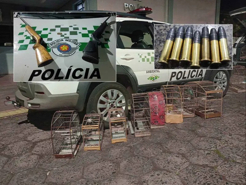 Homem é detido com armas e pássaros nativos em cativeiro na região de Araraquara