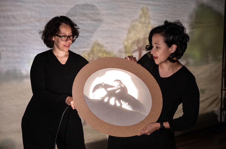 Teatro de sombras estreia no Sesi Araraquara com acessibilidade e magia visual