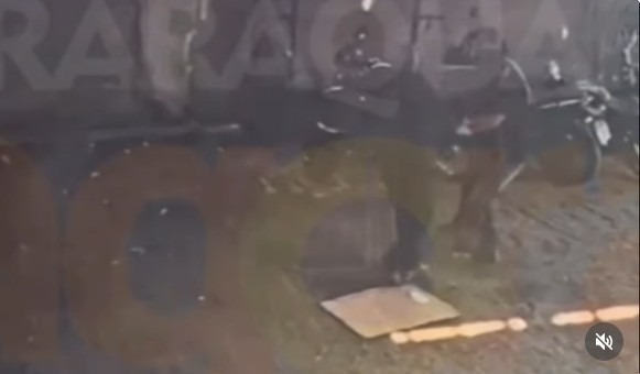 Vídeo flagra ataque com ácido contra motorista em Araraquara