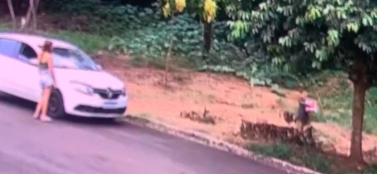 VÍDEO: Dupla abandona cachorro dentro de caixa em área de mata de Boa Esperança do Sul