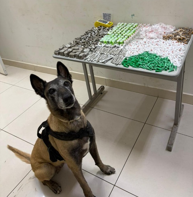 Cadela farejadora do BAEP encontra quase 3 kg de drogas em apartamento vazio no Residencial dos Oitis