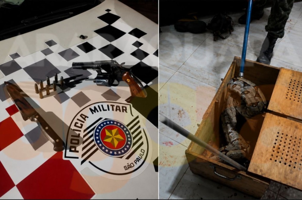 VÍDEO: Facadas, cobra e arma de fogo termina com casal preso pela PM no Jardim Adalberto Roxo