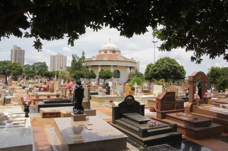 Câmara de Araraquara aprova sepultamento de pets em jazigos familiares; exumação exige atenção