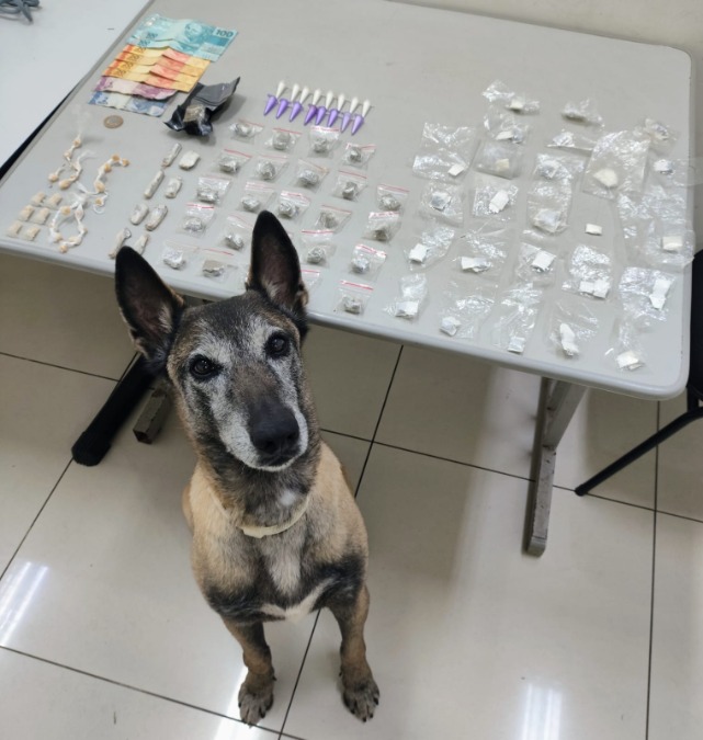 VÍDEO: Cadela Atena do BAEP localiza sacola com drogas e adolescente acaba detido no Jardim Águas do Paiol