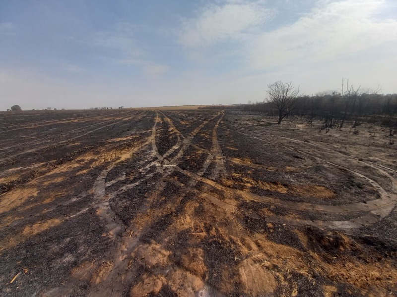 Propriedade é multada por crime ambiental na região