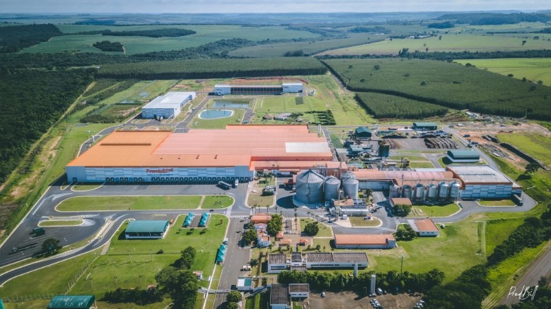 PremieRpet contrata para mais de 200 vagas temporárias; veja como enviar currículo