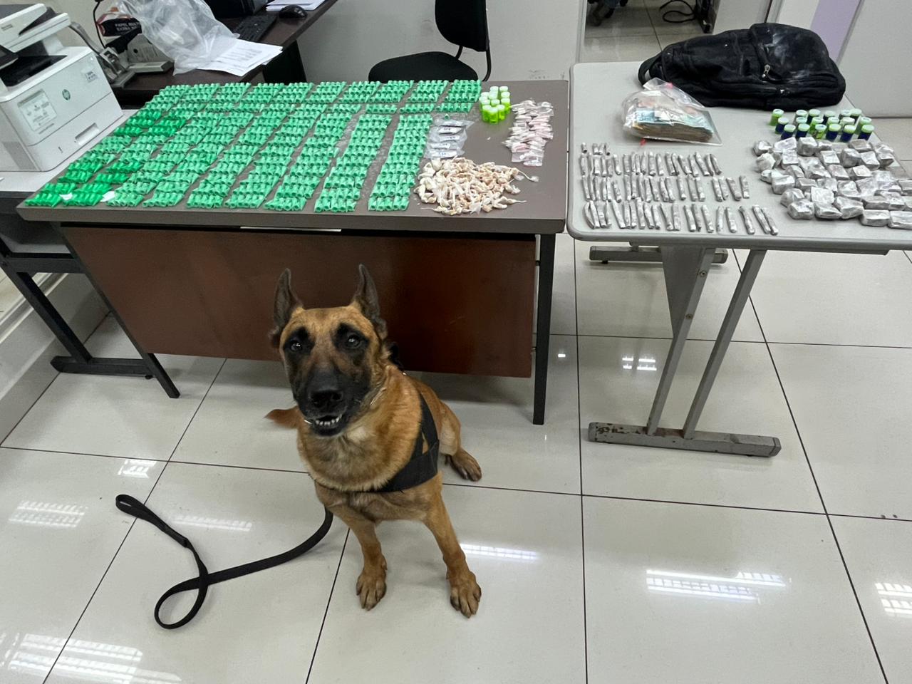 Foto: Divulgação/PM/Com Ajuda de Cão Farejador Drogas Localizadas Dentro de Mochila Em Apartamento Vazio