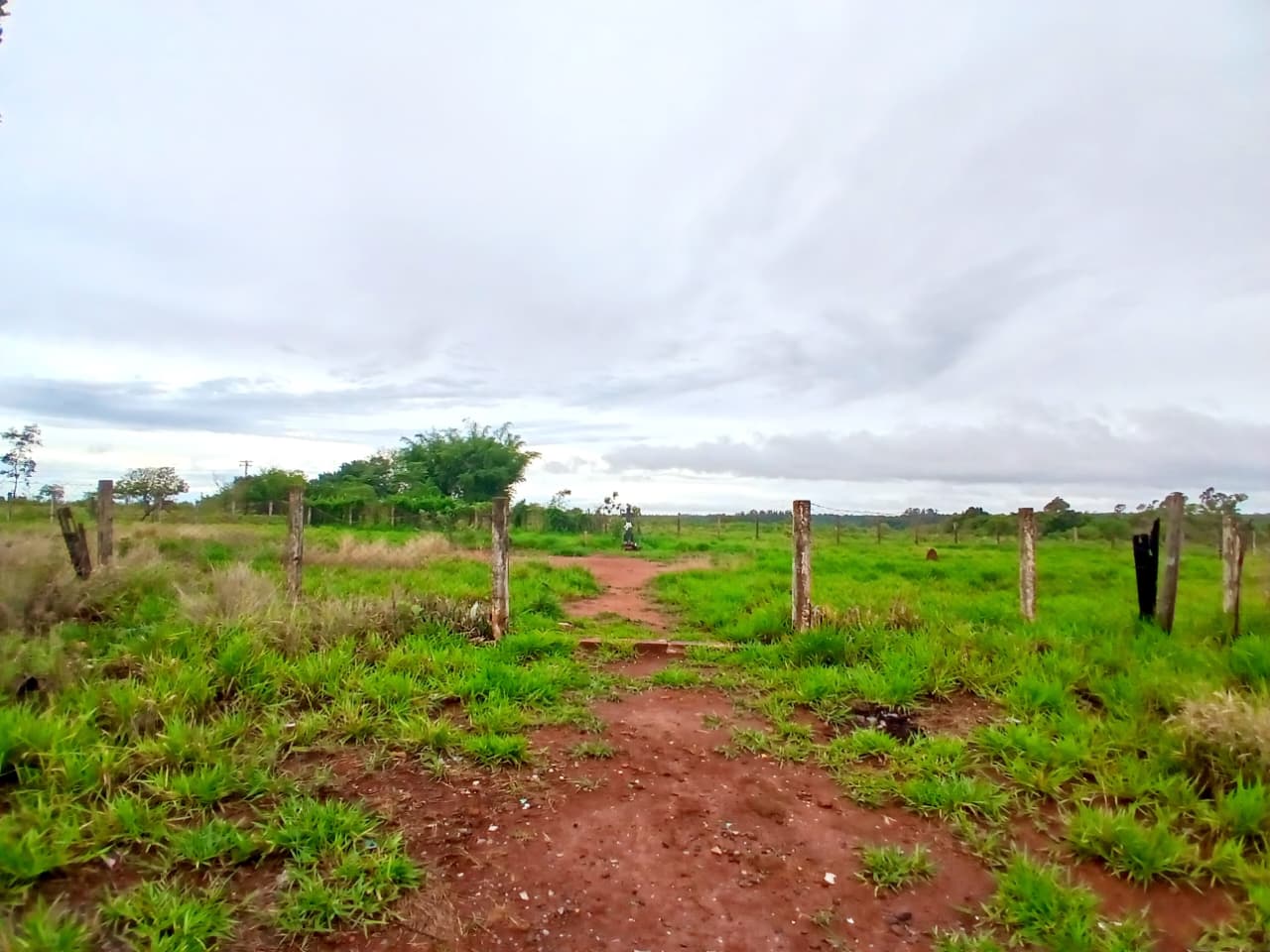 Quem passa pela vicinal praticamente não nota a existência do cemitério. Foto: Breno Silvério/Colaboração