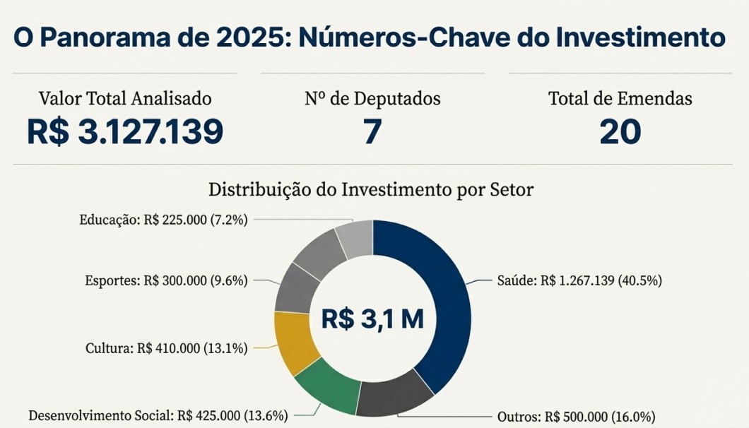 Infográfico detalha as emendas impositivas enviadas por deputados estaduais para Araraquara em 2025