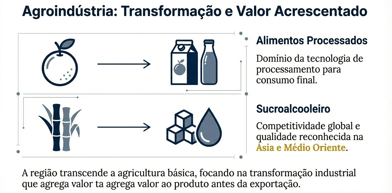 A região concentra importantes indústrias de processamento que transformam matéria-prima agrícola em produtos com maior valor agregado