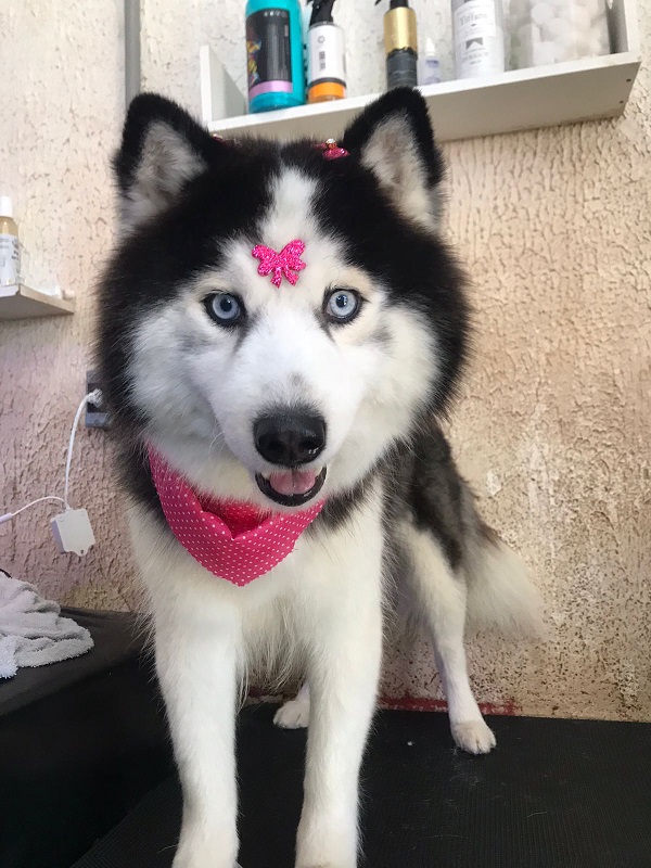Kiara tinha 3 anos