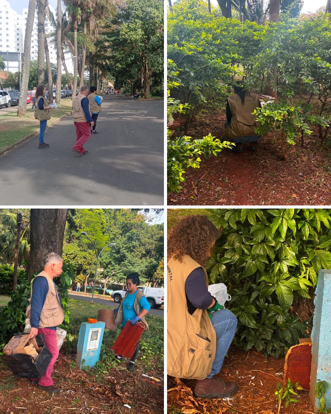 Ação dos agentes do Centro de Fauna Sinantrópica no Parque Infantil 