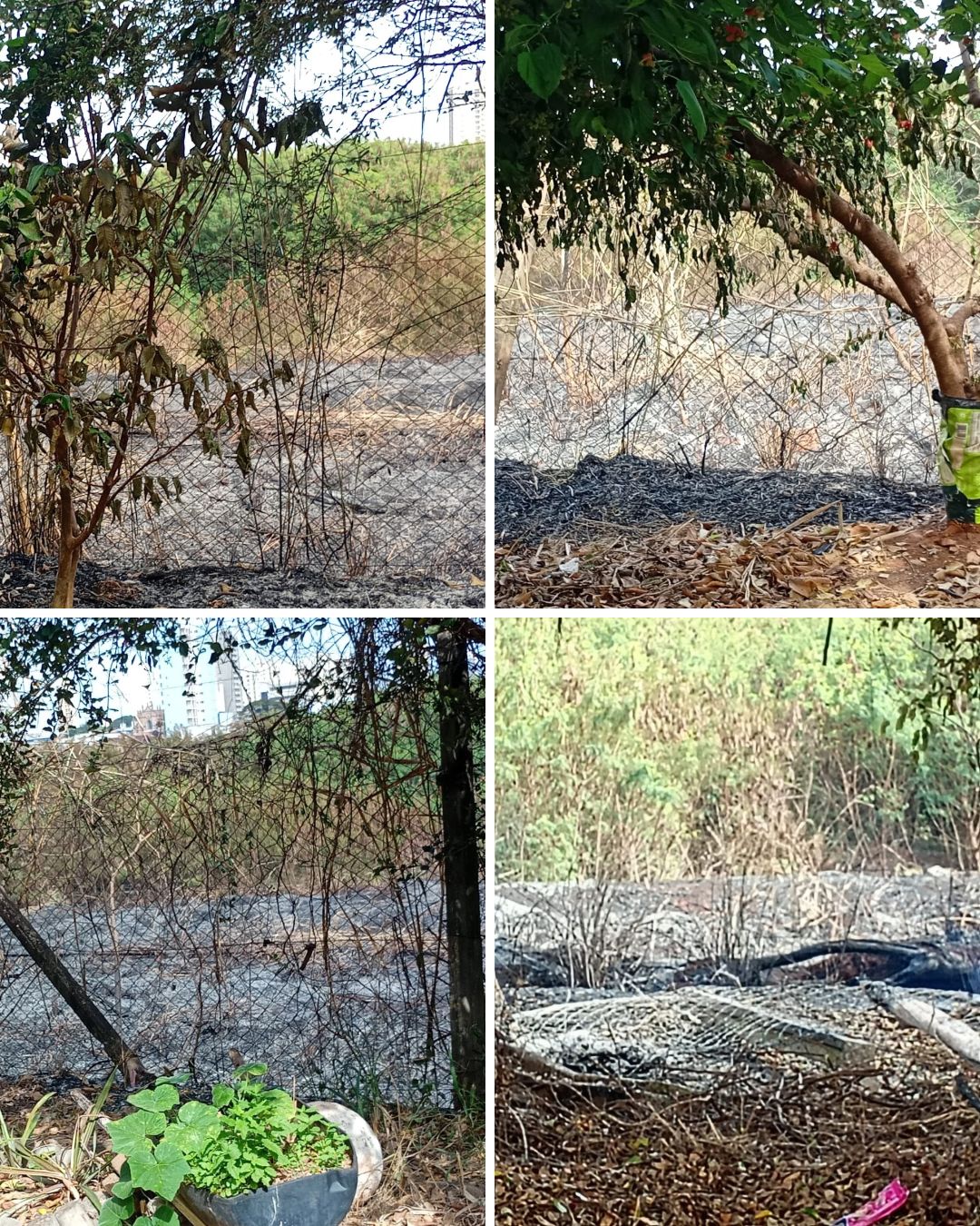Área ficou marcada pelo fogo após o incêndio registrado na segunda-feira (24)