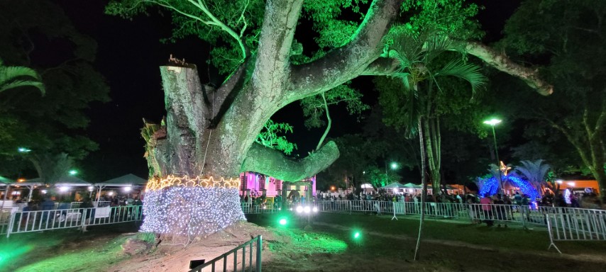 Foto 26 de 49 — Primeira noite do Esperança Luz encanta multidão em Boa Esperança
