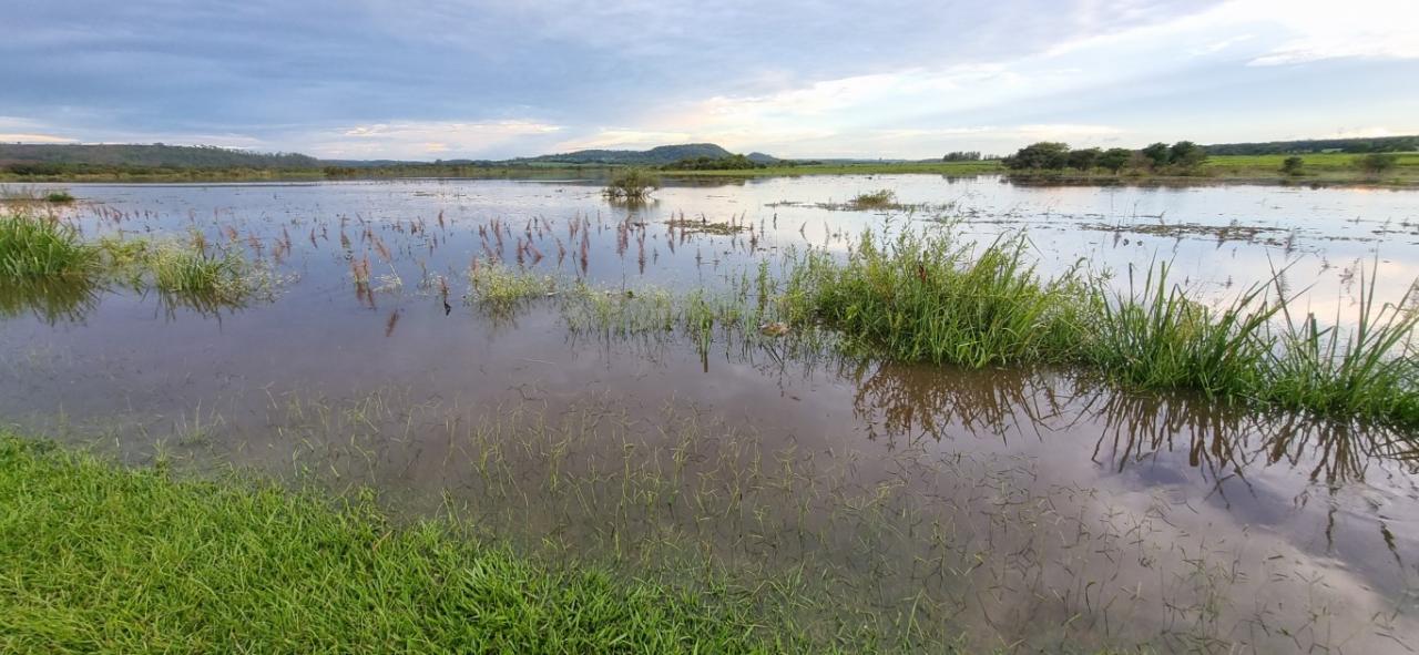 Foto 21 de 22 — SP-255 entre Araraquara e Boa Esperança segue interditada