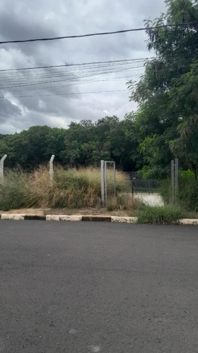 Foto 1 de 16 — Praça do Selmi Dei fica mais de 5 meses sem limpeza e moradores relatam aparecimento de cobras