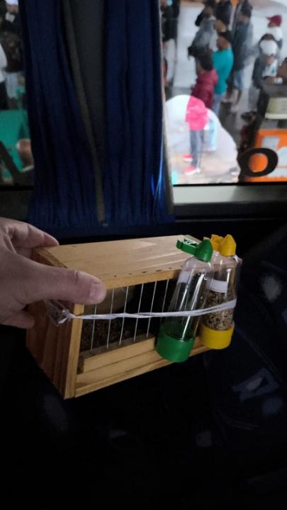 Foto 6 de 8 — Rincão: Polícia Ambiental apreende 17 aves nativas transportadas dentro de malas em ônibus de viagem