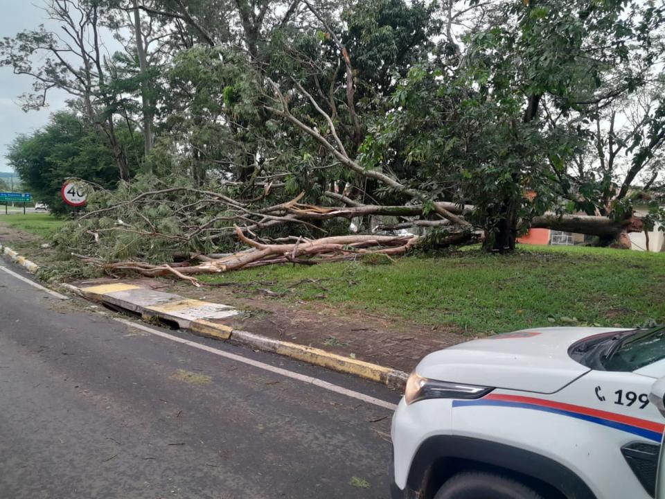 Foto 29 de 40 — Veja fotos do cenário em Boa Esperança do Sul após forte temporal