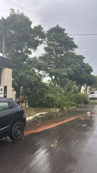 Foto 22 de 40 — Veja fotos do cenário em Boa Esperança do Sul após forte temporal