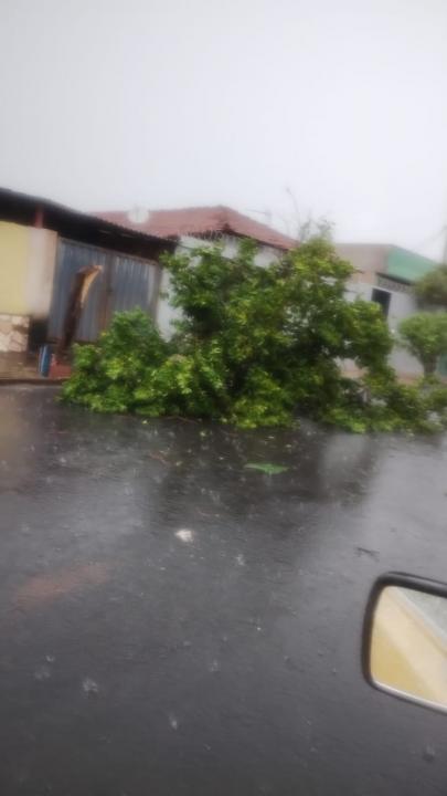 Foto 23 de 40 — Veja fotos do cenário em Boa Esperança do Sul após forte temporal