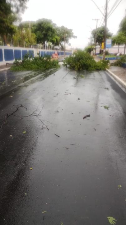 Foto 25 de 40 — Veja fotos do cenário em Boa Esperança do Sul após forte temporal
